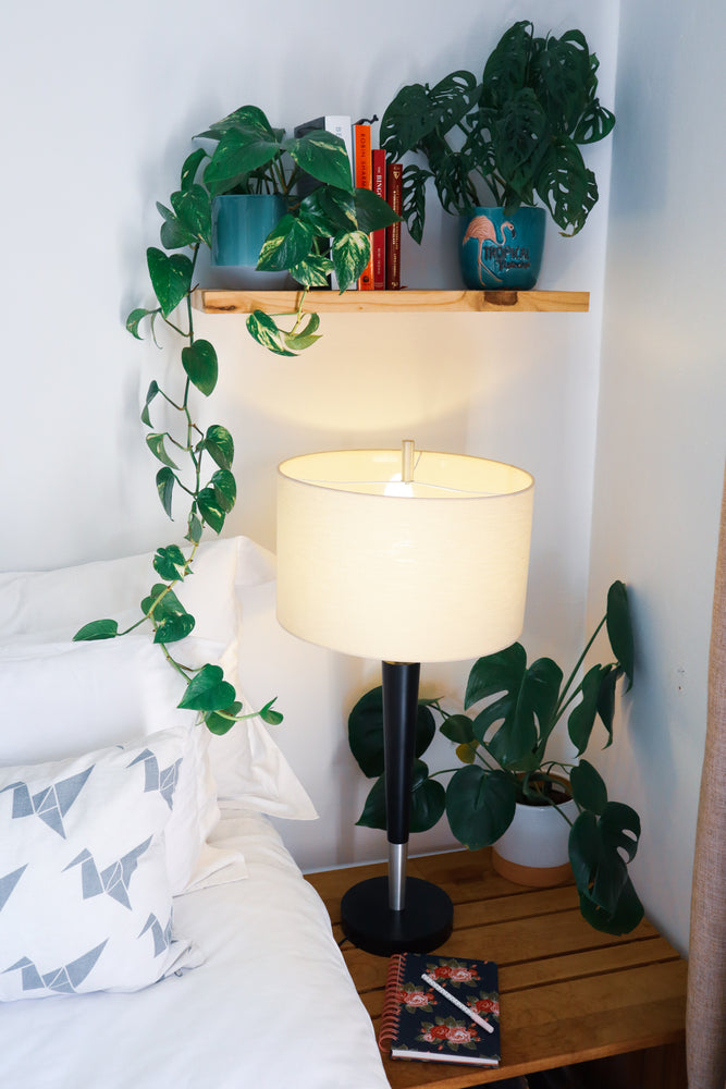 Bedroom Plants
