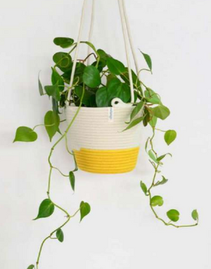 Brights Hanging Planter Basket