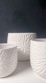 White Star Pot Cover