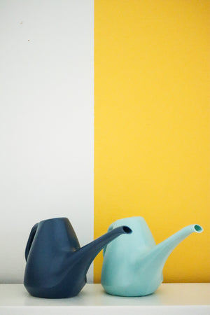 1L Watering Can