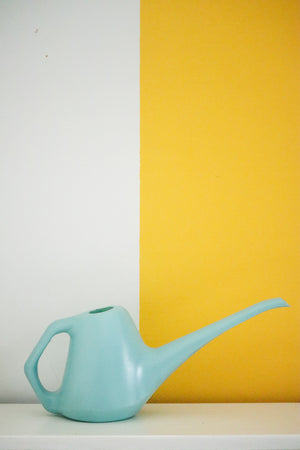 1L Watering Can