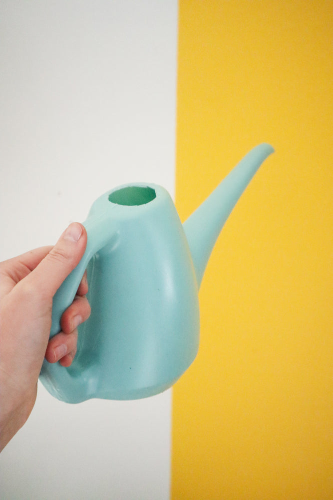 
            
                Load image into Gallery viewer, 1L Watering Can
            
        
