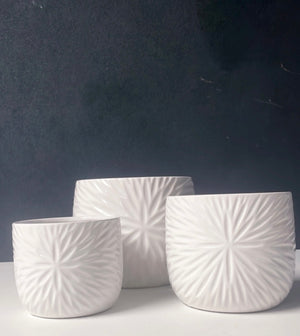 White Star Pot Cover