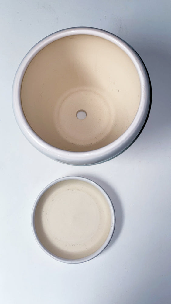 Pot & Saucer - Bowl