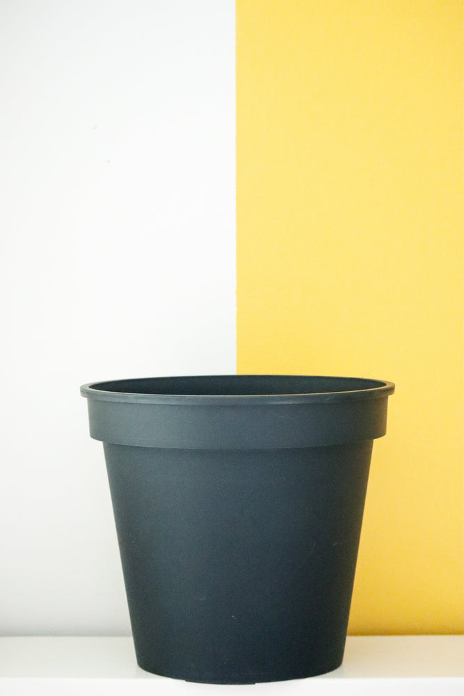 
            
                Load image into Gallery viewer, Black Plastic Pot
            
        