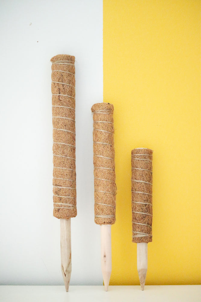 Coco Pole