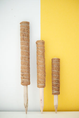 Coco Pole