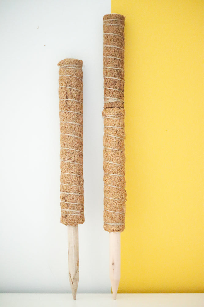 Coco Pole