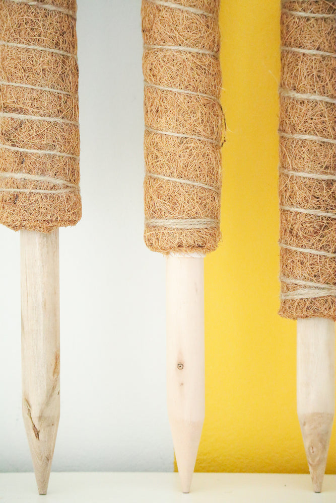 Coco Pole