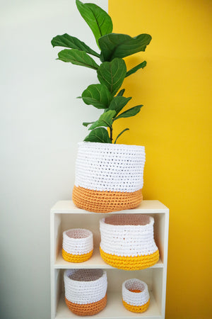 
            
                Load image into Gallery viewer, Crochet Pot Socks
            
        
