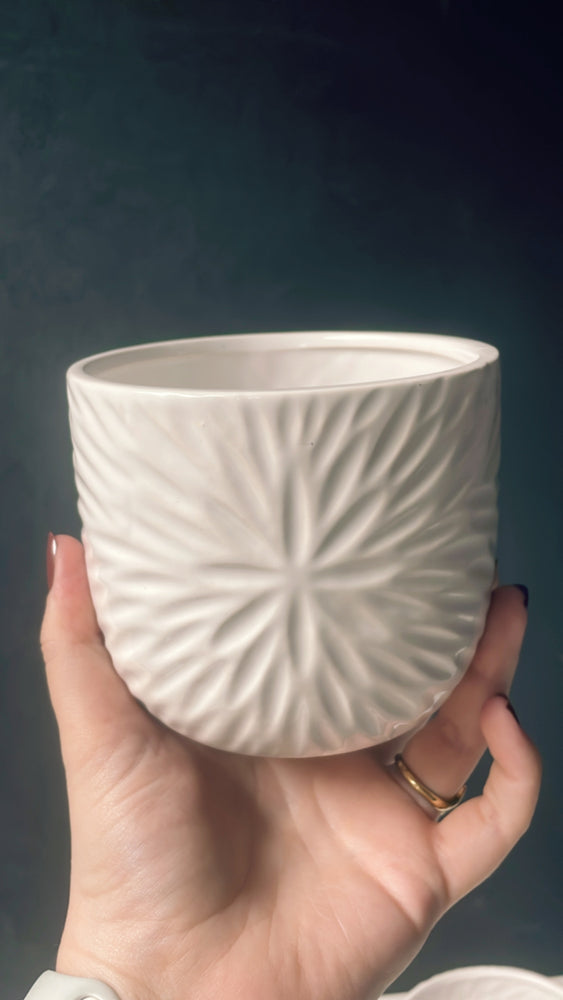 White Star Pot Cover