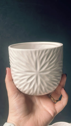 
            
                Load image into Gallery viewer, White Star Pot Cover
            
        
