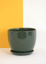 Pot & Saucer - Egg