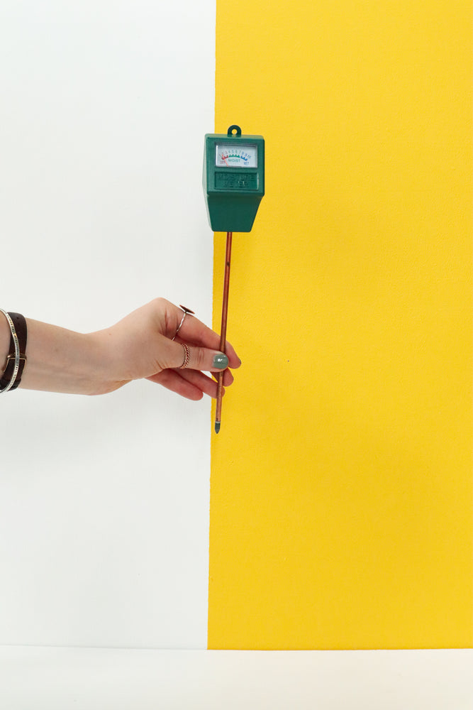 Moisture Meter