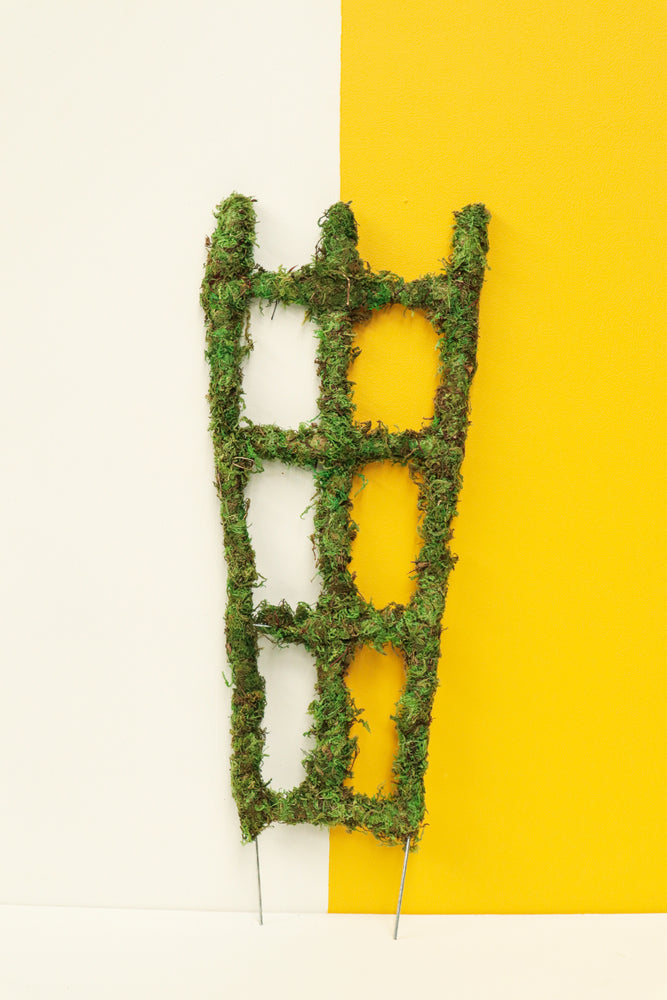 Moss Trellis
