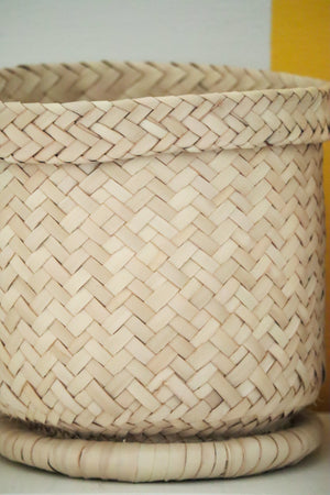 Oak Planter Basket
