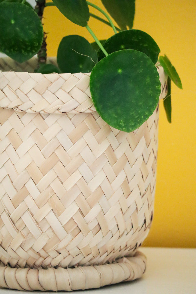 Oak Planter Basket