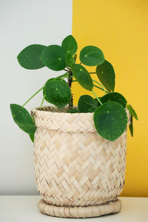 Oak Planter Basket