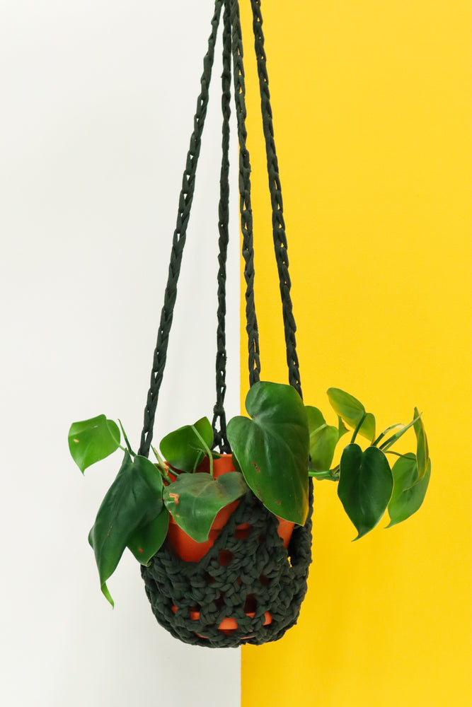 
            
                Load image into Gallery viewer, Plant Hammock
            
        