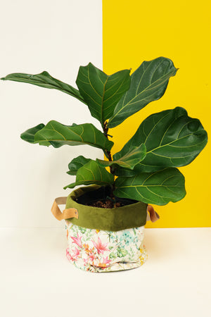 Plant Bags