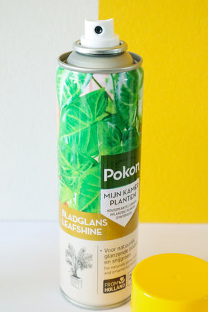 Pokon Leafshine