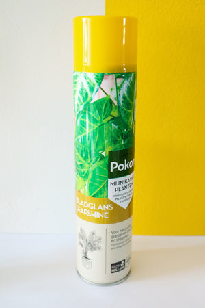 Pokon Leafshine