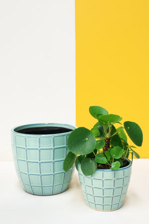 Pot Cover - Square