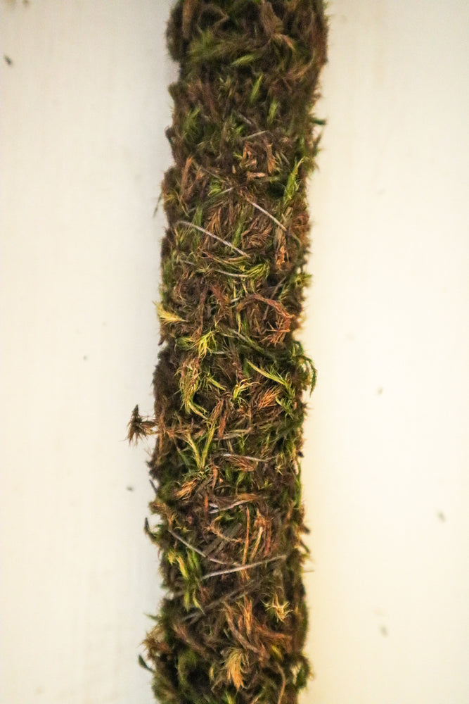 Natural Moss Pole