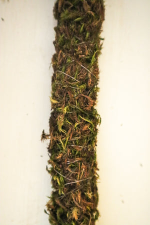 
            
                Load image into Gallery viewer, Natural Moss Pole
            
        