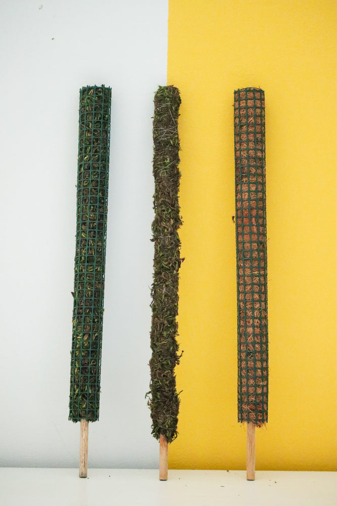 
            
                Load image into Gallery viewer, Natural Moss Pole
            
        