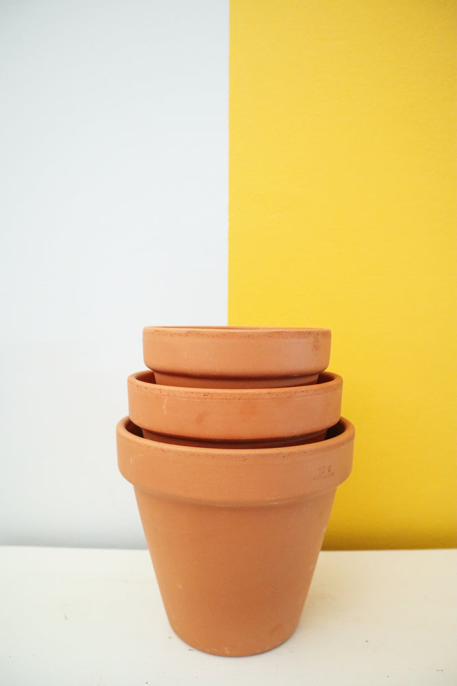 Terracotta Pots