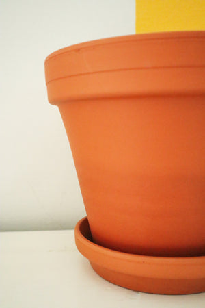 Terracotta Pots