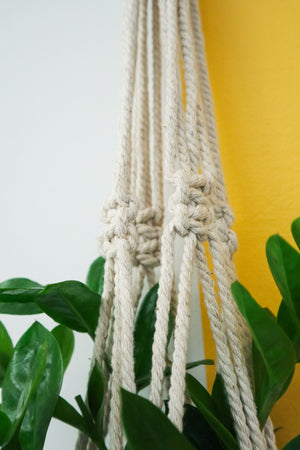 
            
                Load image into Gallery viewer, Macrame Chunky Mac
            
        