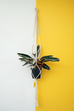 Macrame Real Mac