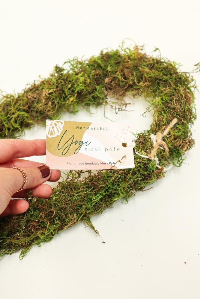 Yogi Moss Pole