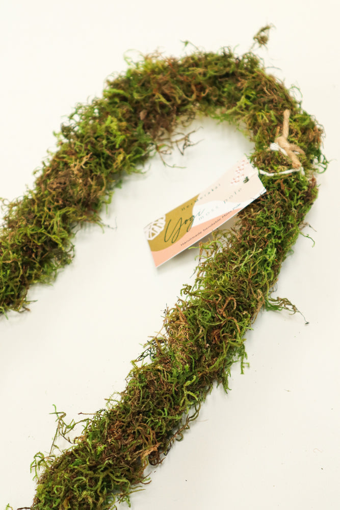 Yogi Moss Pole