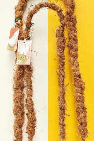 Yogi Moss Pole