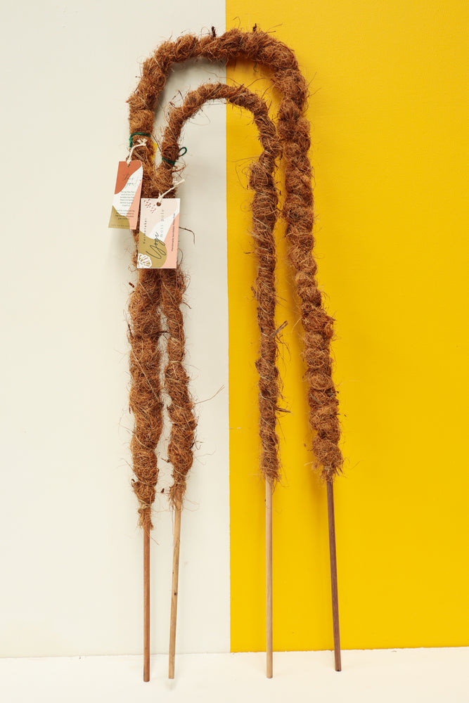 Yogi Moss Pole