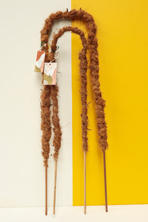 Yogi Moss Pole