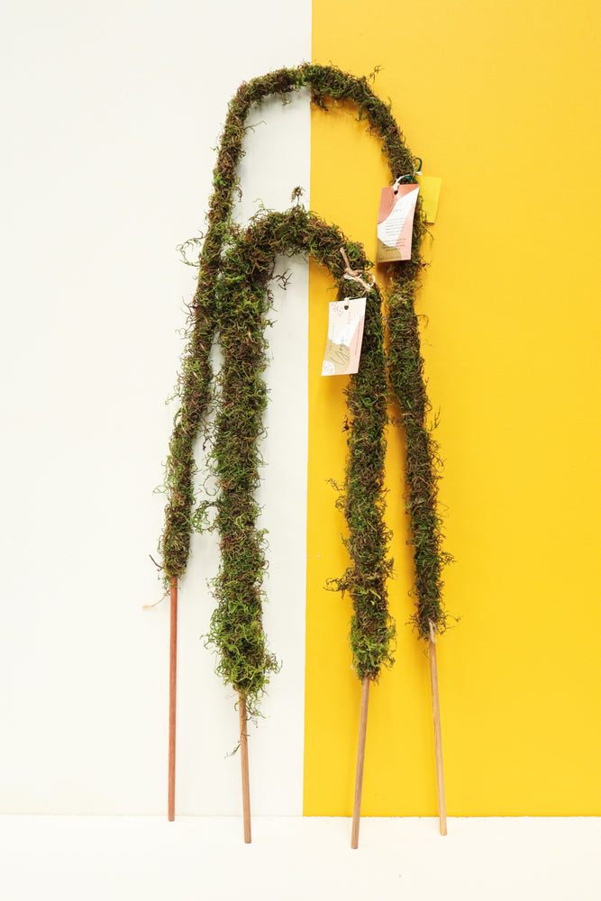 Yogi Moss Pole